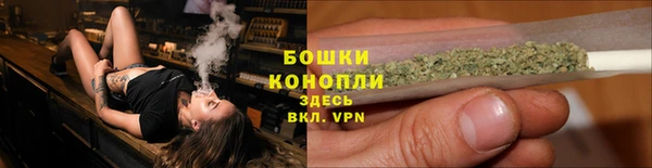 ALPHA PVP Куйбышев