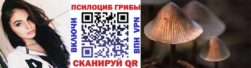 Купить где  Великие Луки  Псилоцибиновые грибы ЛСД 